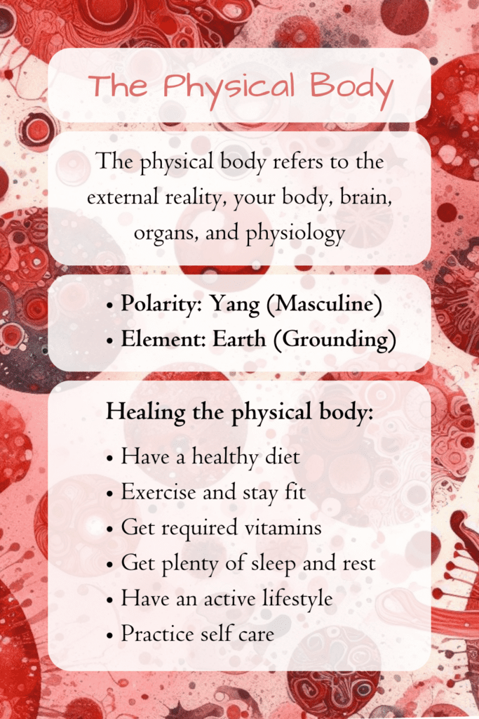 4 bodies - physical body infographic