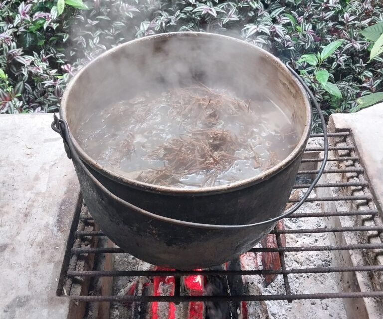 Cooking Ayahuasca in the jungle