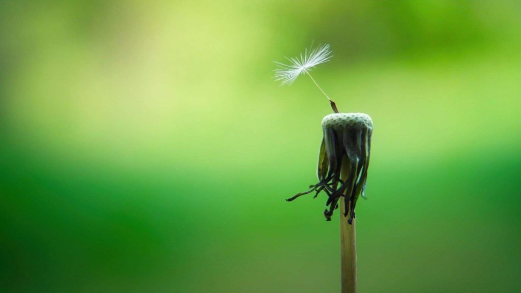Navigating Life's Challenges: How To Find Hope During Difficult Situations 74