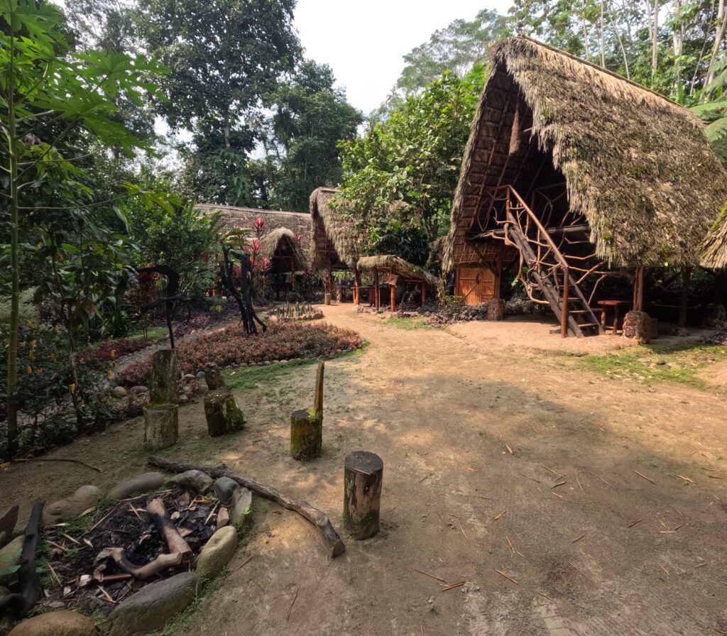 Ayahuasca retreat in the Ecuadorian Jungle